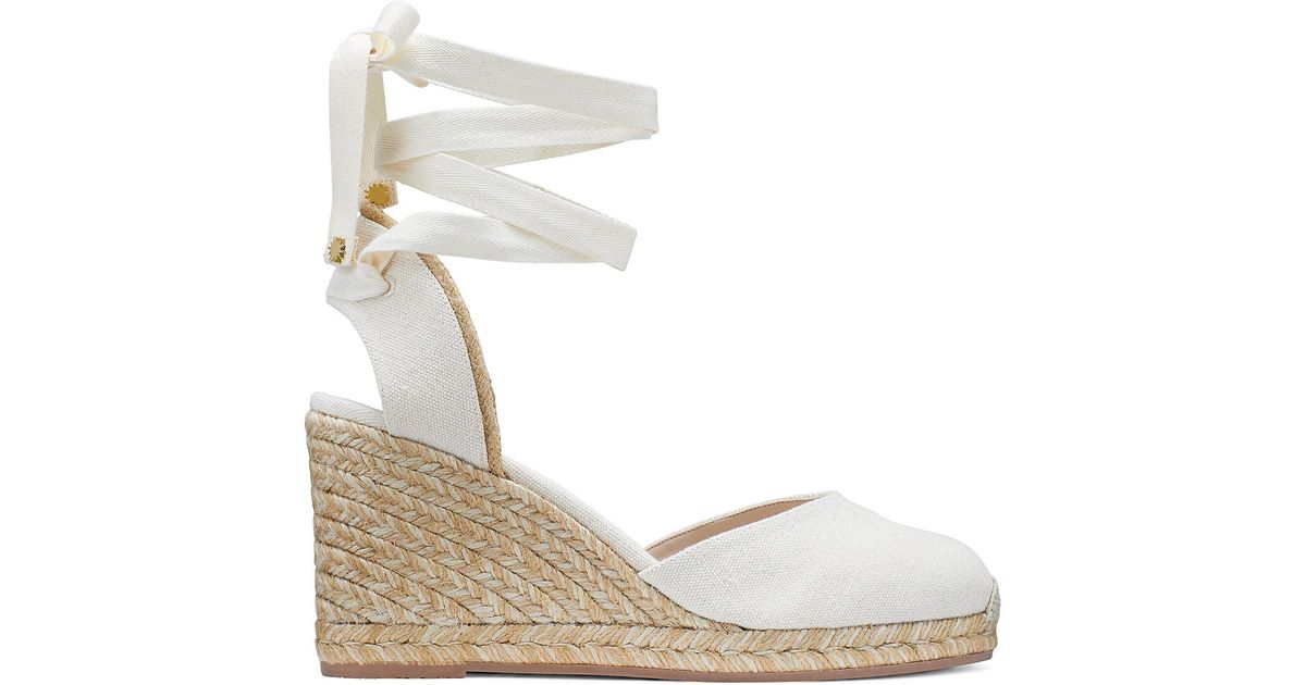 the marguerita wedge