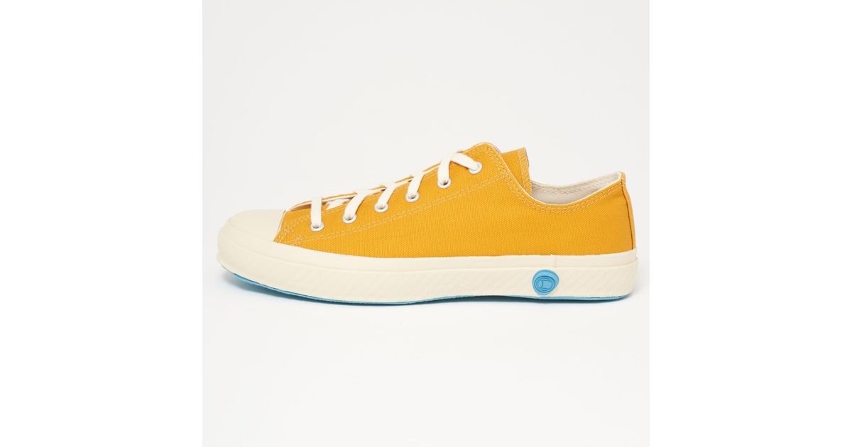 mustard coloured trainers
