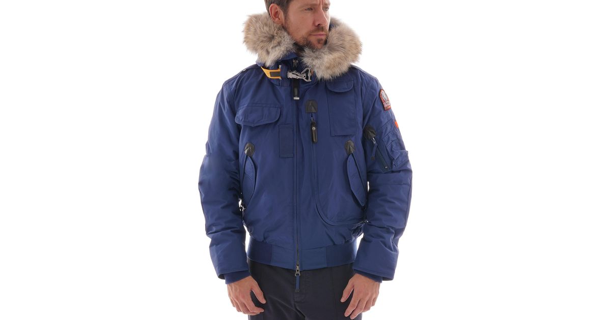 parajumper blue