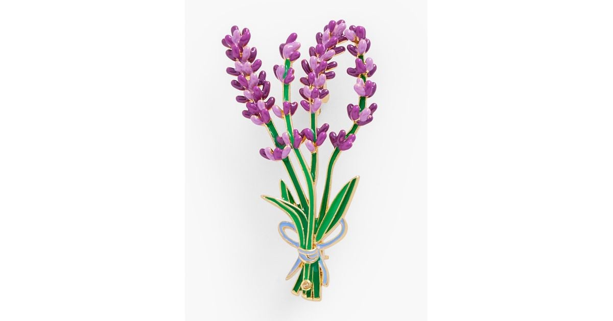 Talbots Lavender Spring Brooch Lyst