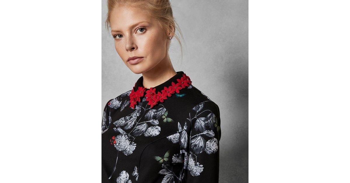 ted baker amaliia narnia collar dress