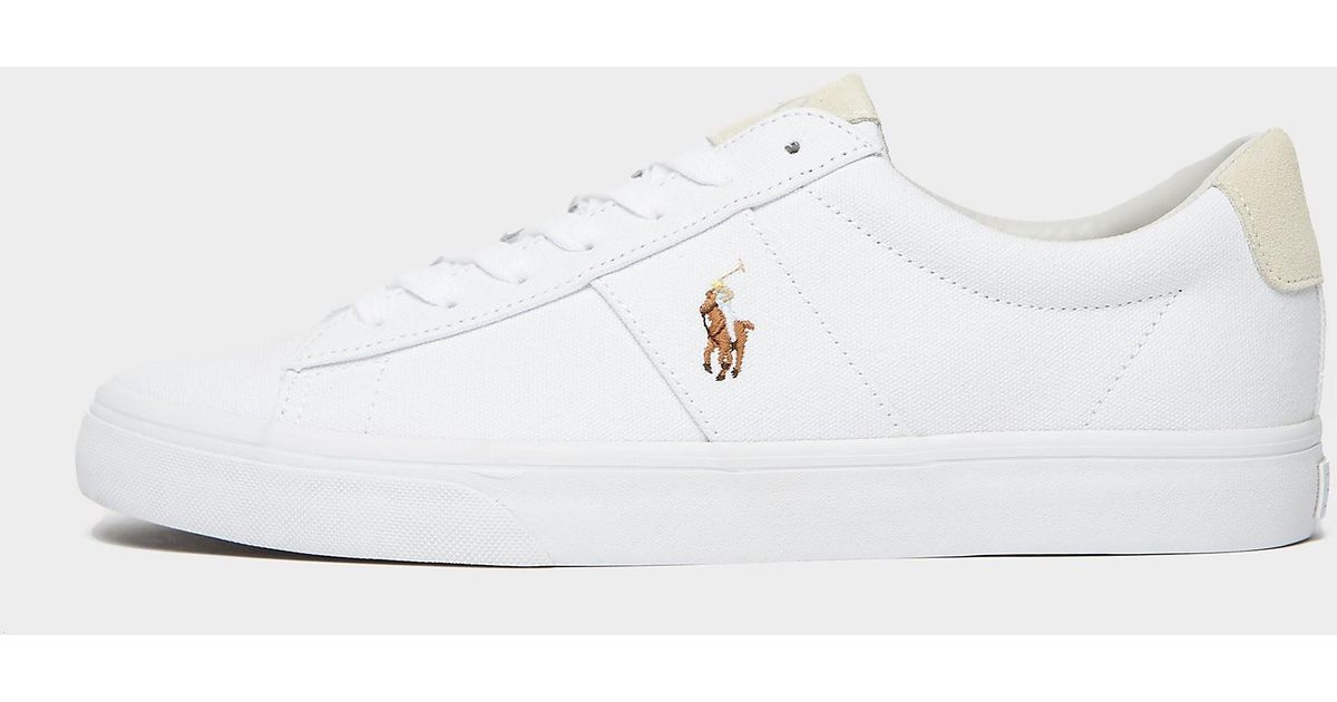 polo rl sayer canvas