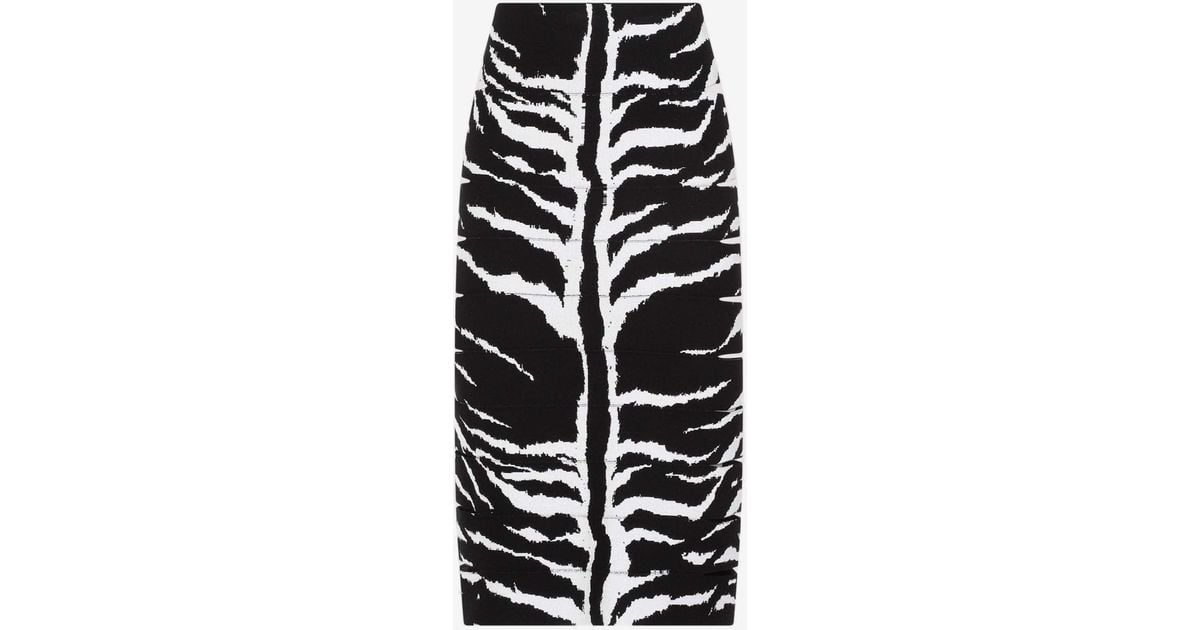 Alaïa Zebra Print Pencil Midi Skirt in White | Lyst