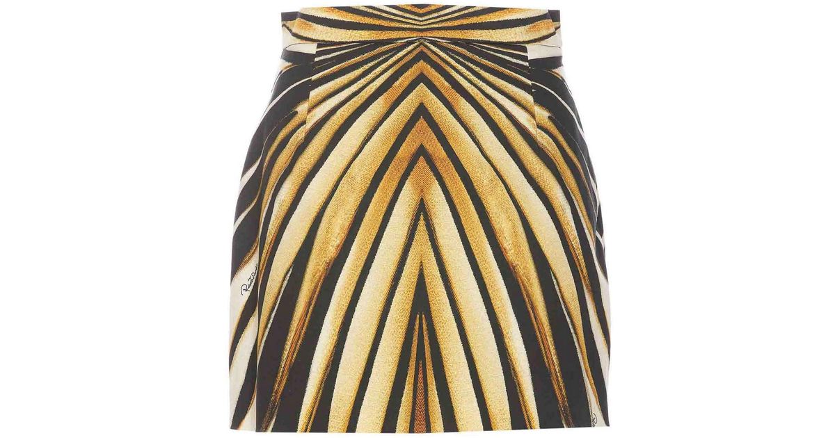 Roberto Cavalli Short Skirts Mbm 116 031 41 main image 0