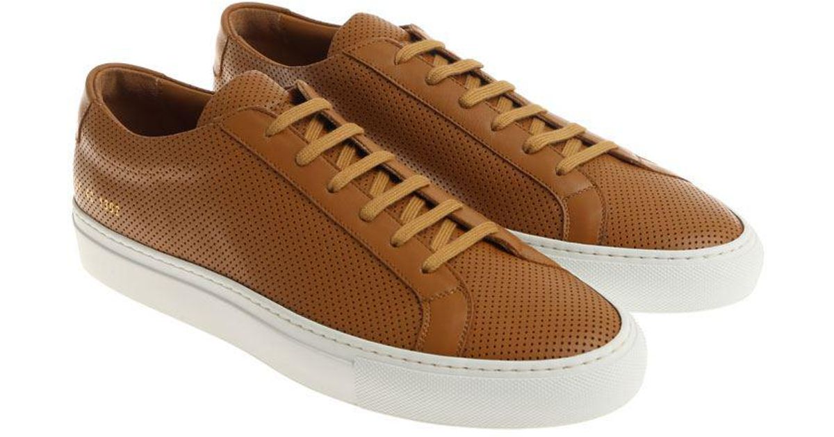 common projects tan sneakers
