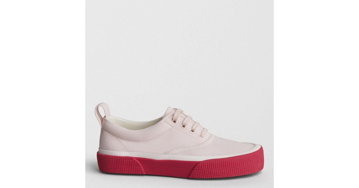 Phoebe Philo Plimsole Sneakers in Pink | Lyst