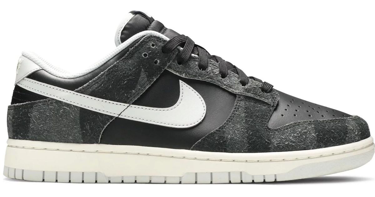 dunk low zebras