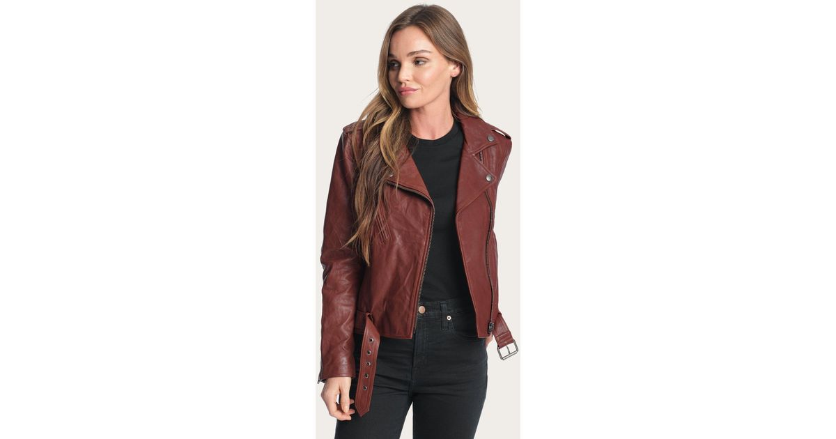 frye carly leather moto jacket