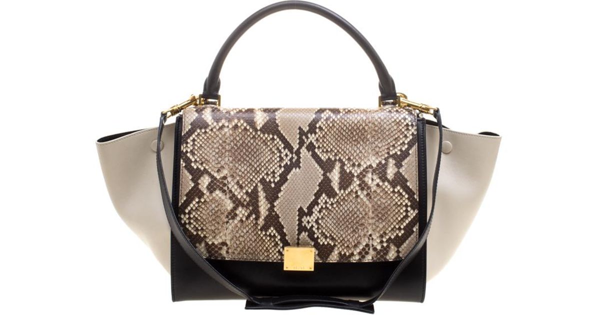celine snakeskin bag