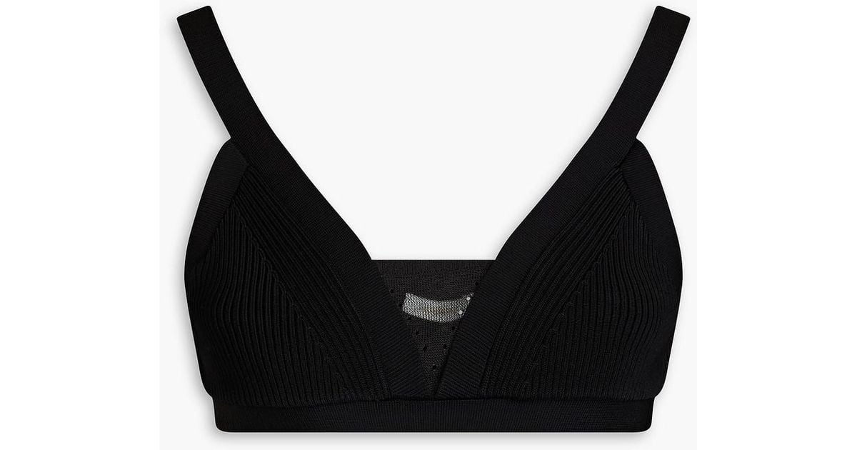 Zimmermann Ribbed-knit Bra Top in Black | Lyst