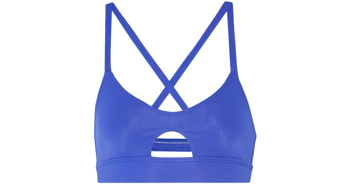 periwinkle sports bra