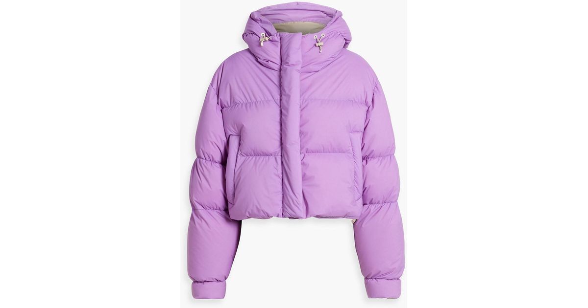 cordova-Purple-Aomori-Quilted- cordova-Purple-Aomori-Quilted-