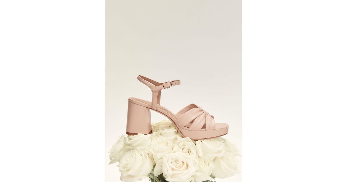 reformation maize platform