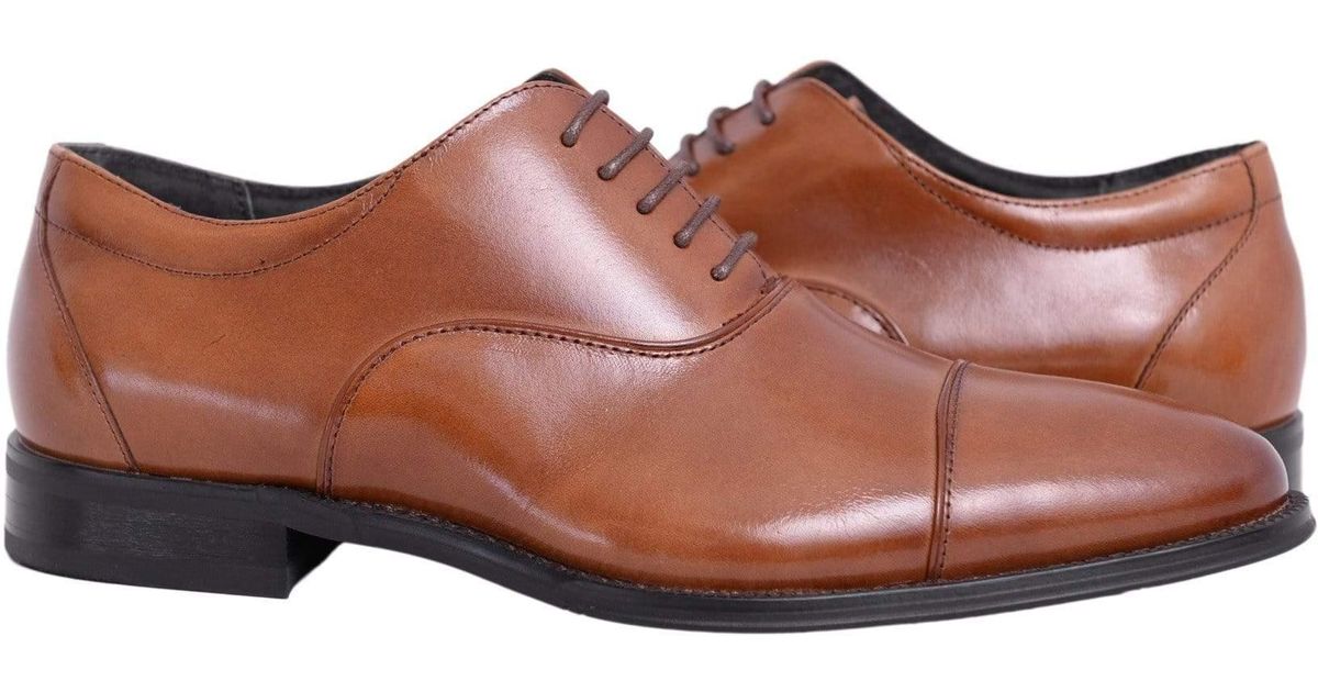 stacy adams kordell cognac