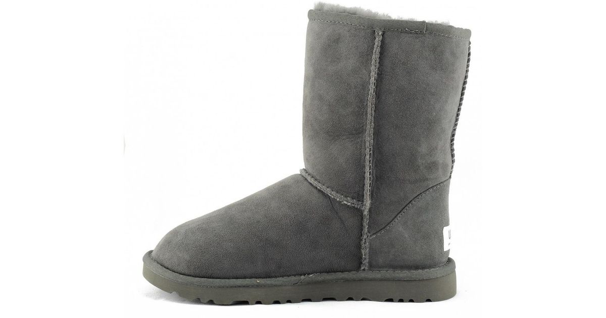 short gray ugg boots