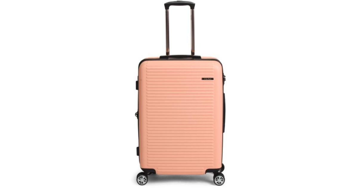 aimee kestenberg luggage tj maxx