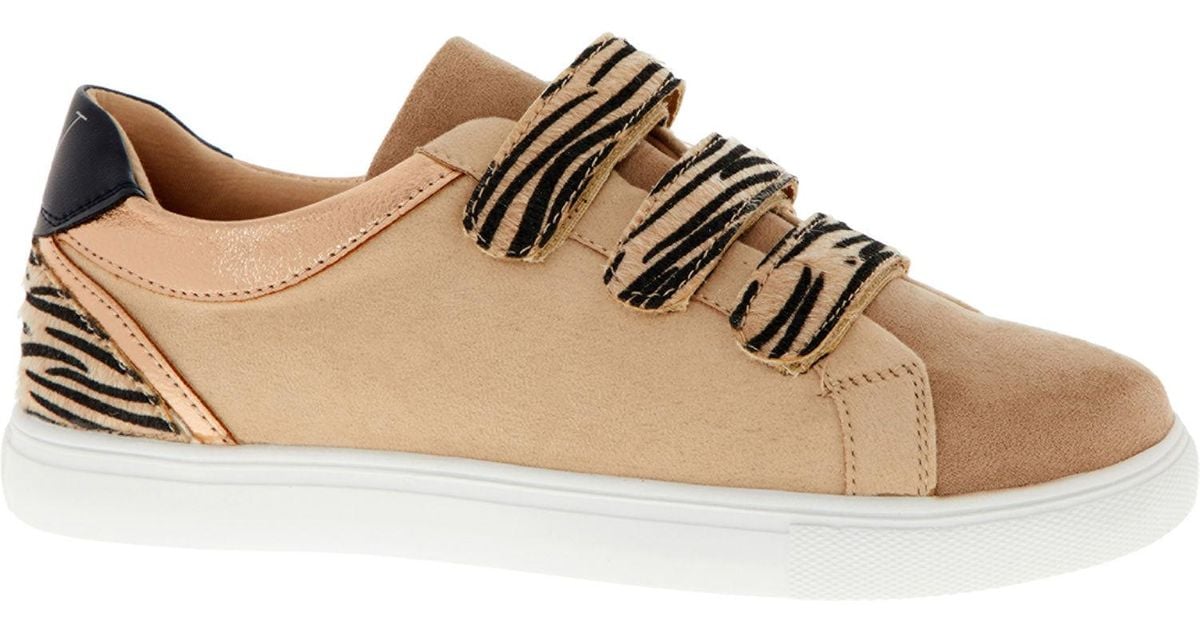 tk maxx keds