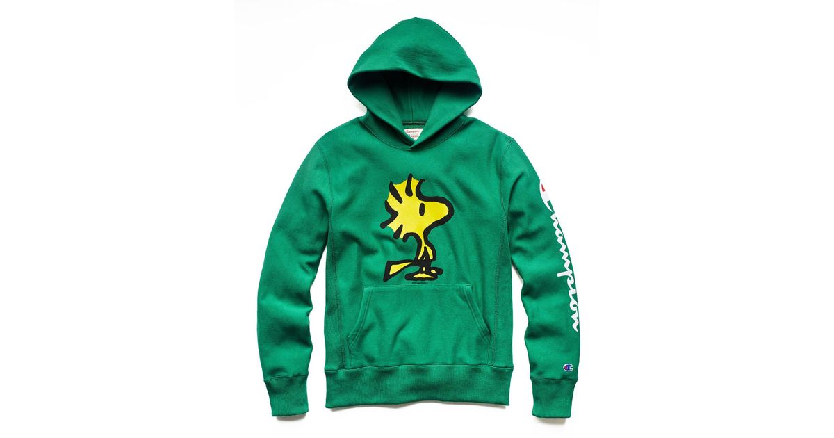 champion woodstock hoodie