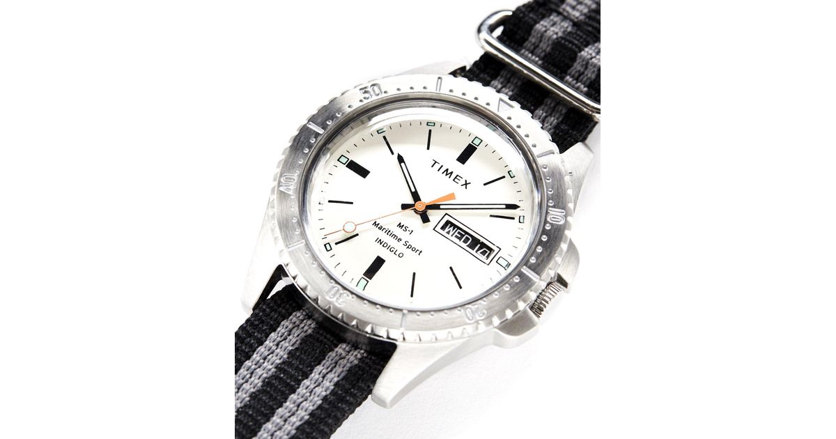 timex ms1
