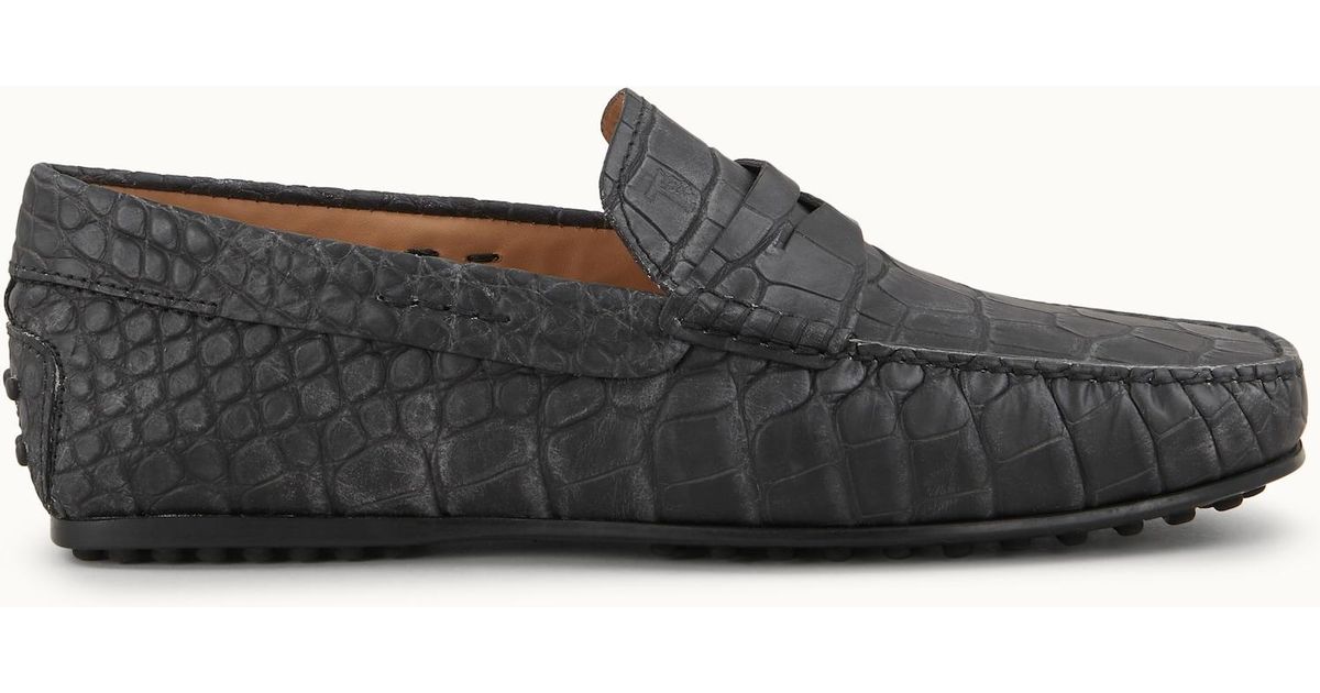 jp tods driving shoes