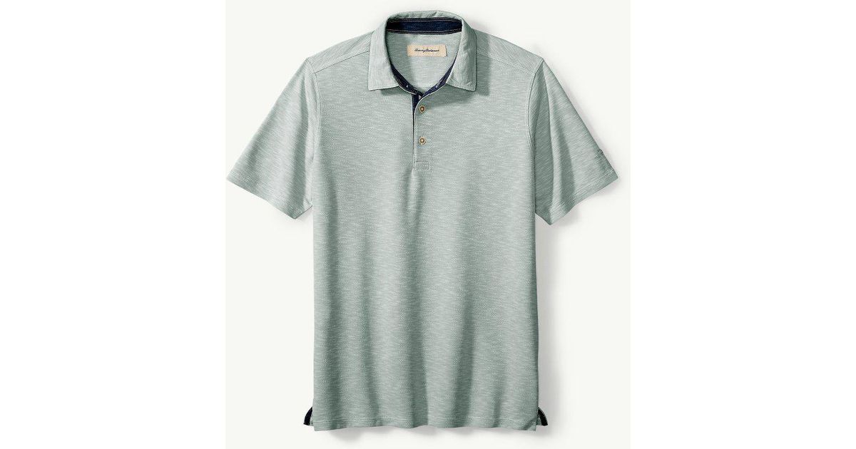 tommy bahama palmetto paradise polo
