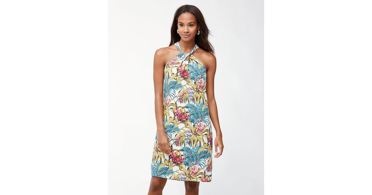 tommy bahama halter dresses