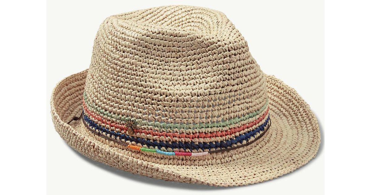 tommy bahama fedora