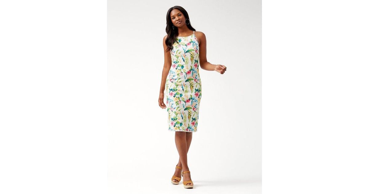 tommy bahama midi dresses