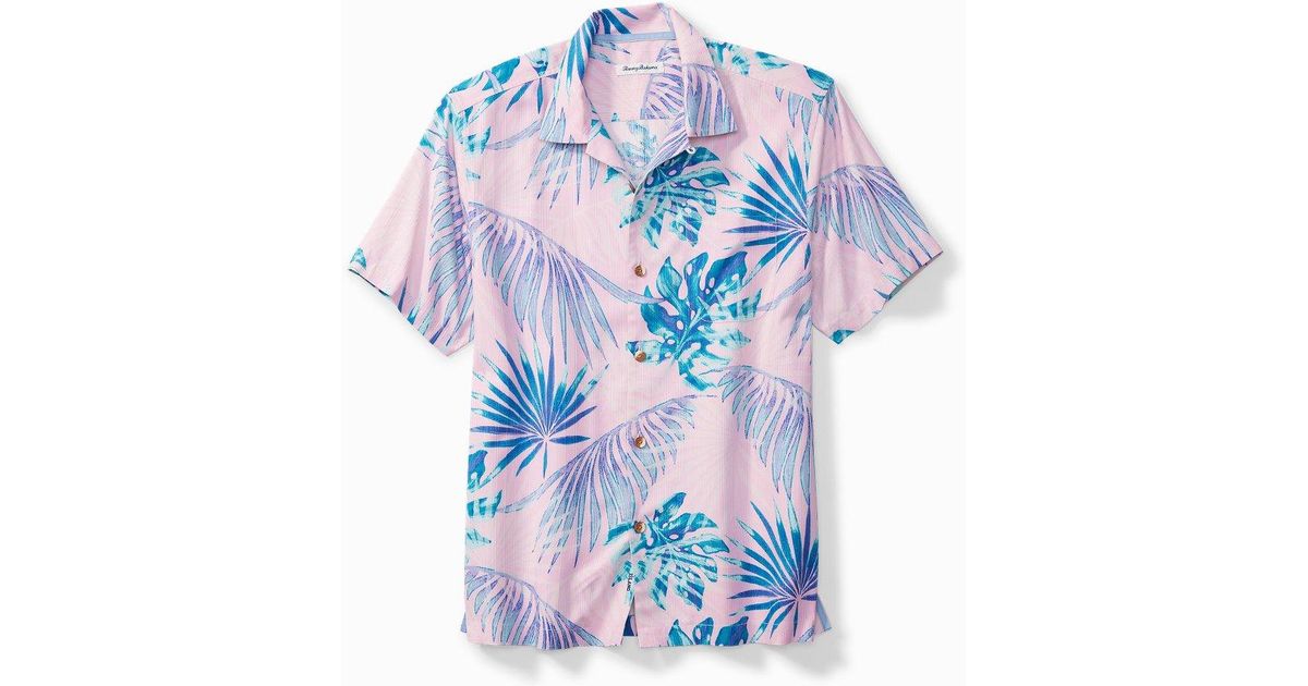 tommy hilfiger basic polo