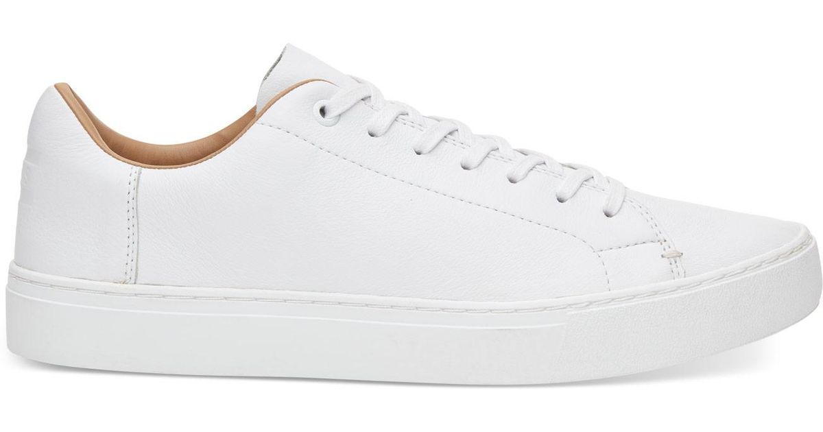 toms lenox sneaker white
