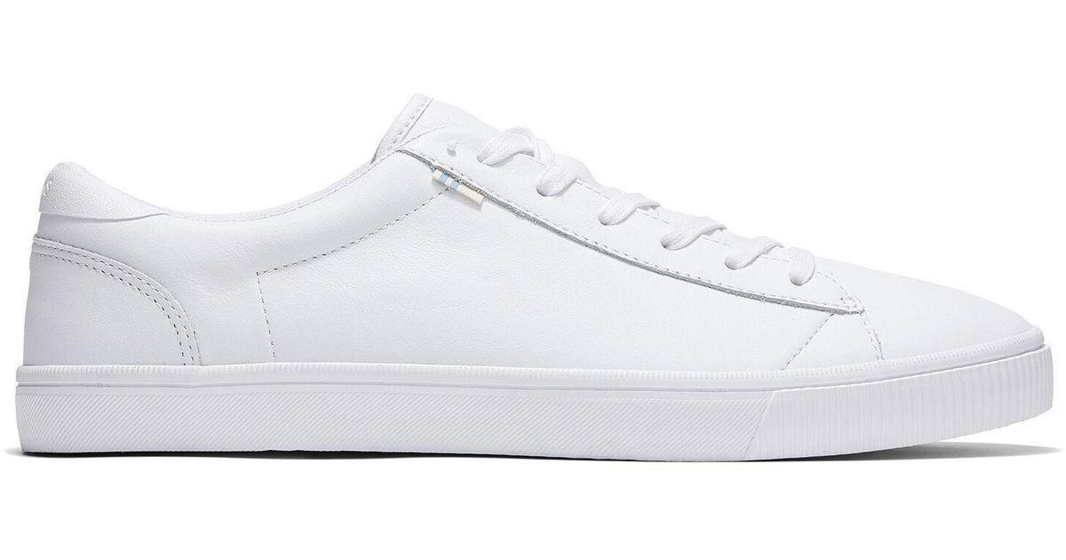 toms white sneakers