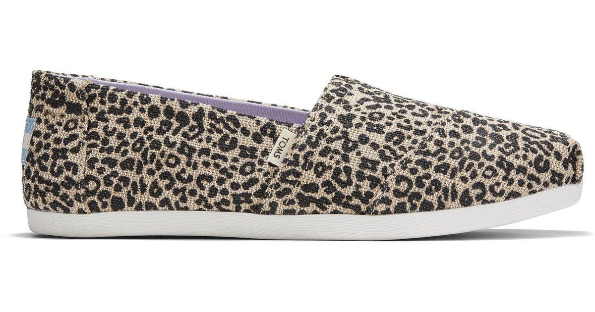Baby cheetah toms Clearance