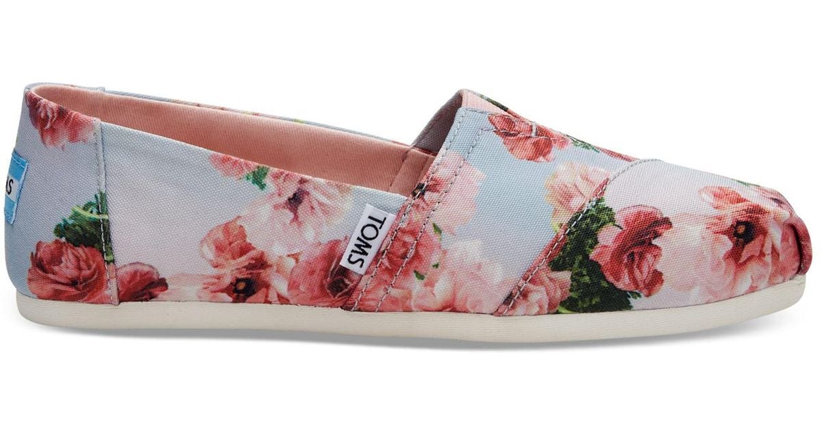 toms floral