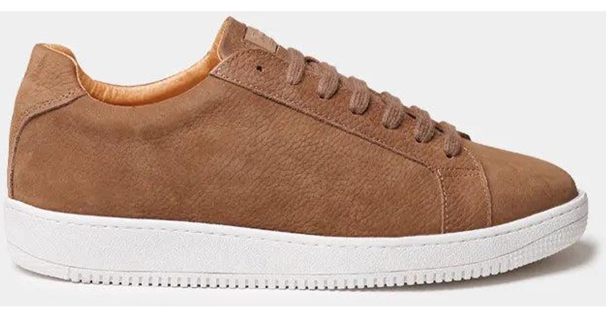 Toni Pons Men\'s Brown Lace-Up Casual Shoes - Classic Everyday Style size 45 Shop Toni Pons Suede Leather Lace-up Shoe for Men - Derby-SY  main image 2