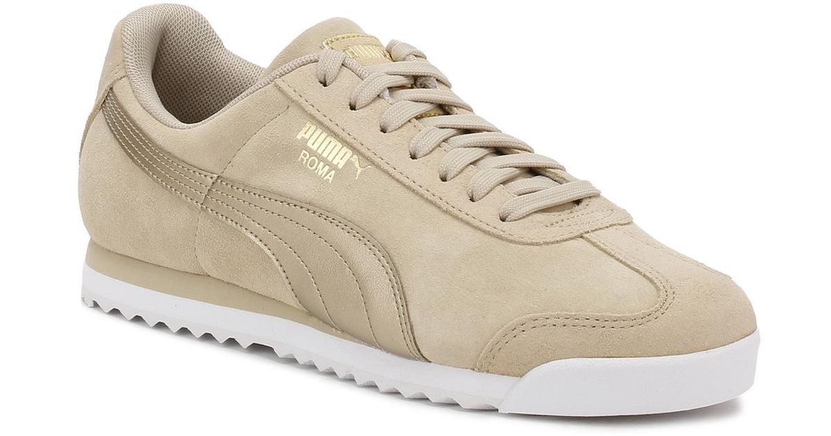 puma roma basic trainers