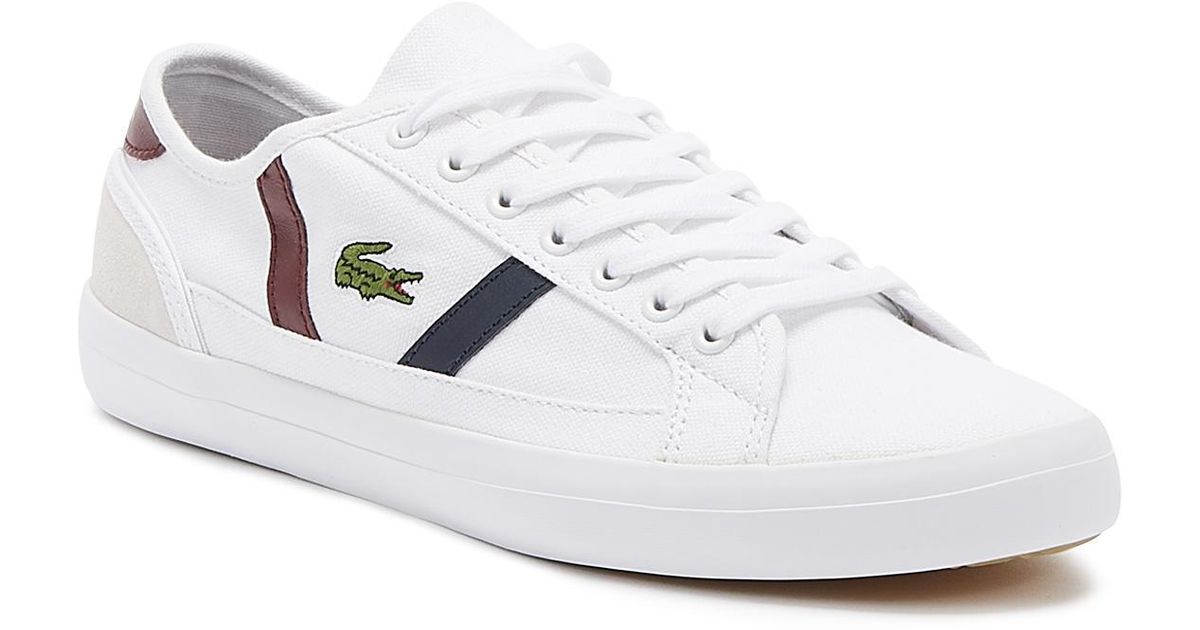 mens lacoste trainers