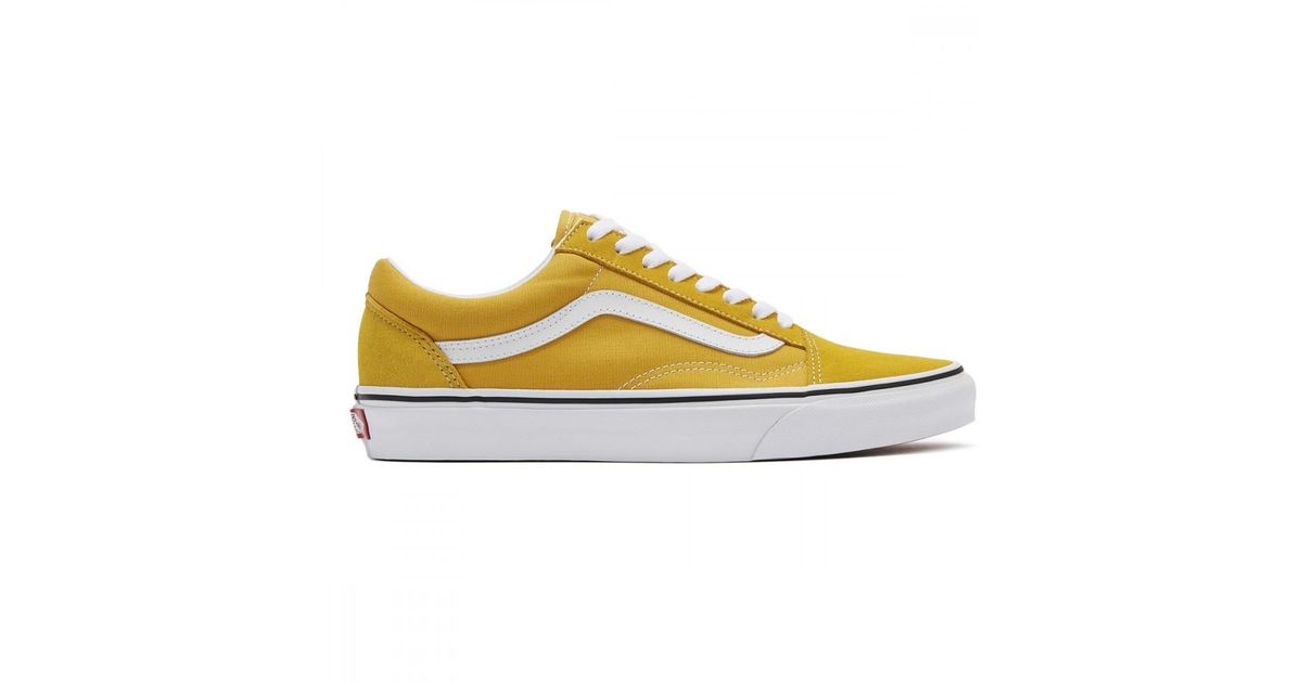 vans old skool blanche portées