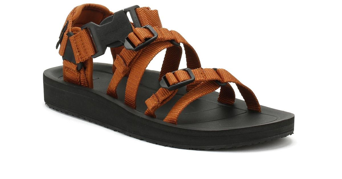 teva alp