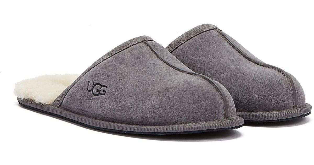 UGG Wool Scuff Dark Slippers in Grey (Grey) for Men - Lyst