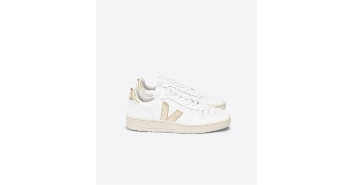 veja v10 platine