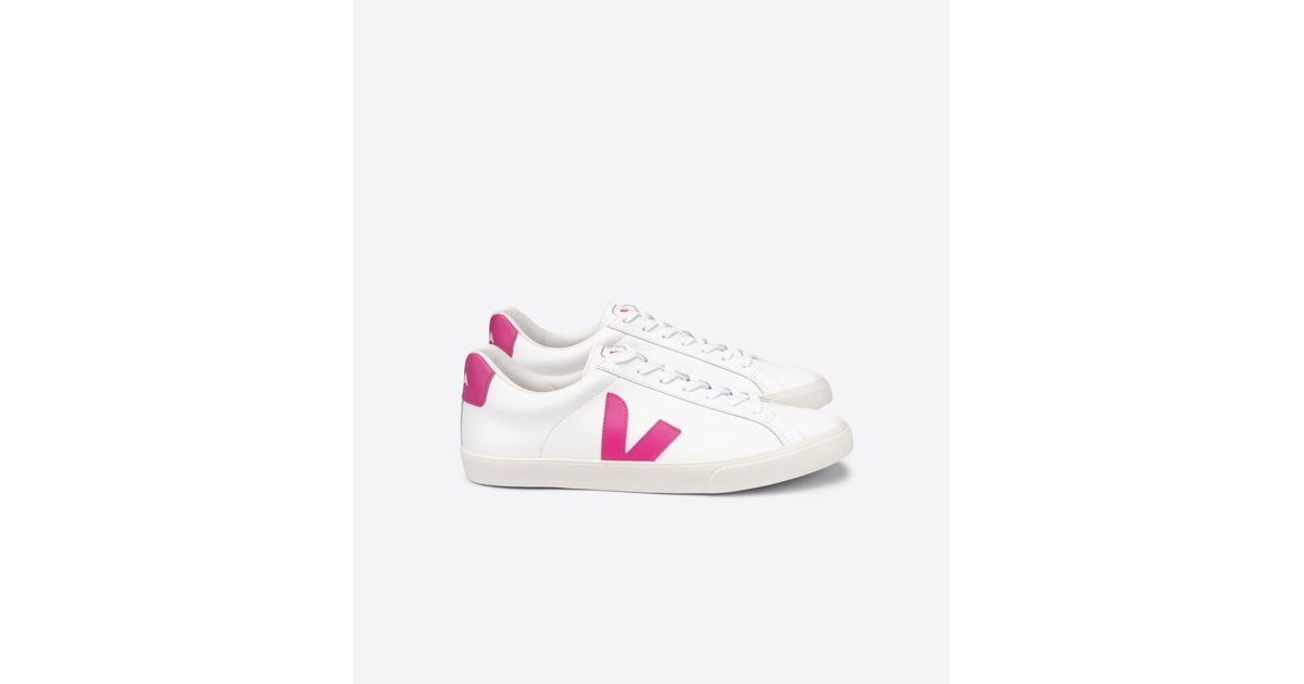 Veja blanches 2025