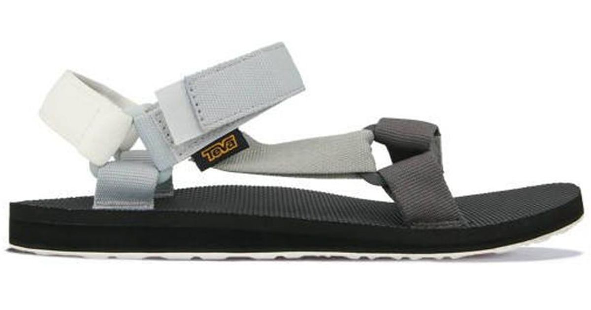 teva grey