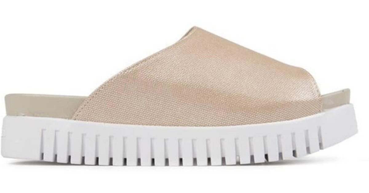 ilse jacobsen tulip flats