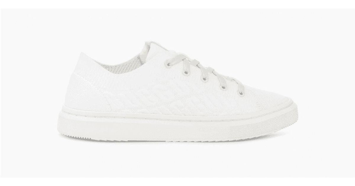UGG White Alameda Graphic Knit Trainers | Lyst