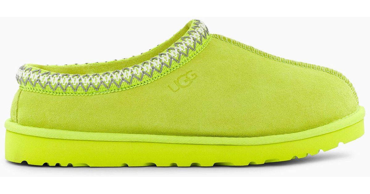 key lime tasman