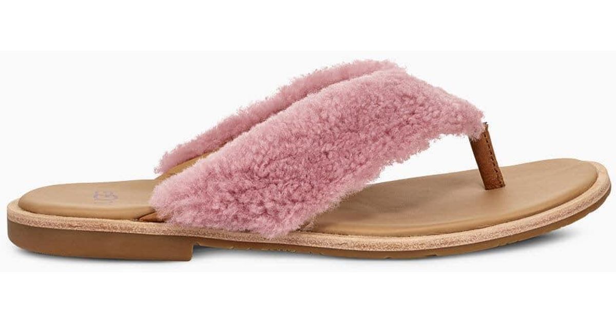 ugg alicia flip flop