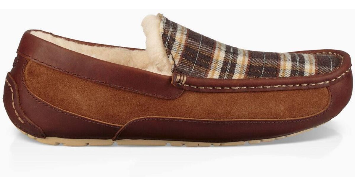 ugg ascot pendleton plaid slipper