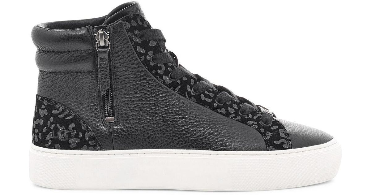 olli heritage trainer