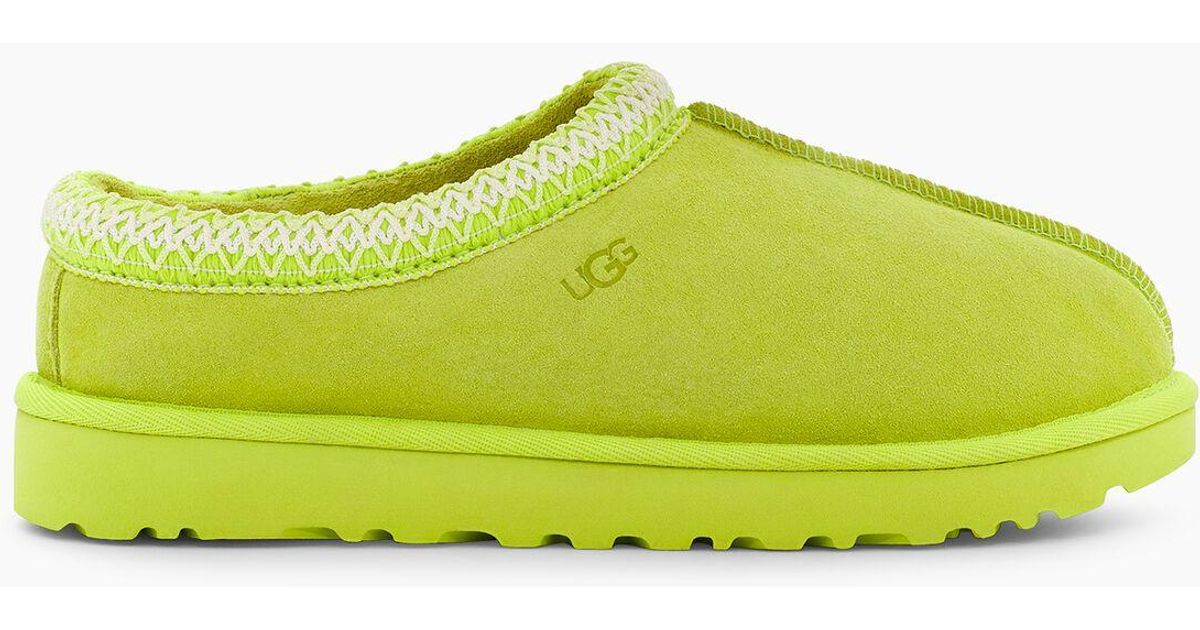 key lime tasman