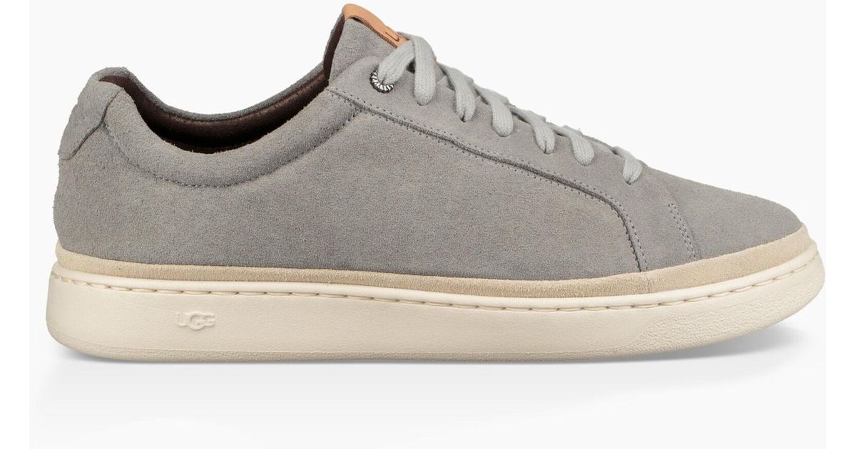 ugg cali trainer low